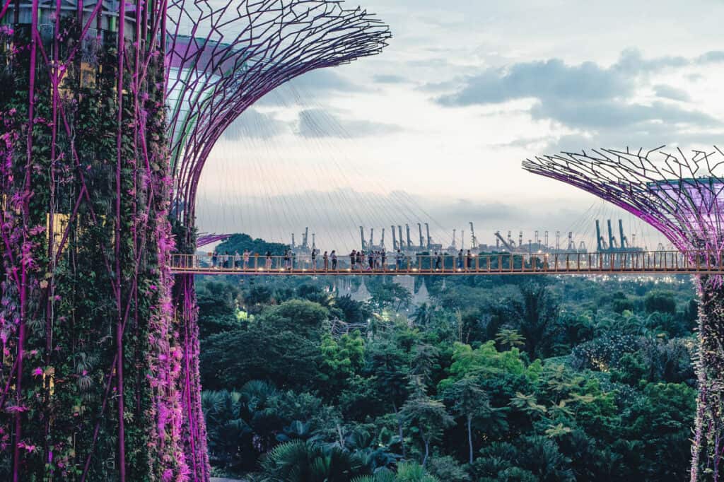Gardens by the Bay supertrees with dark clouds. 