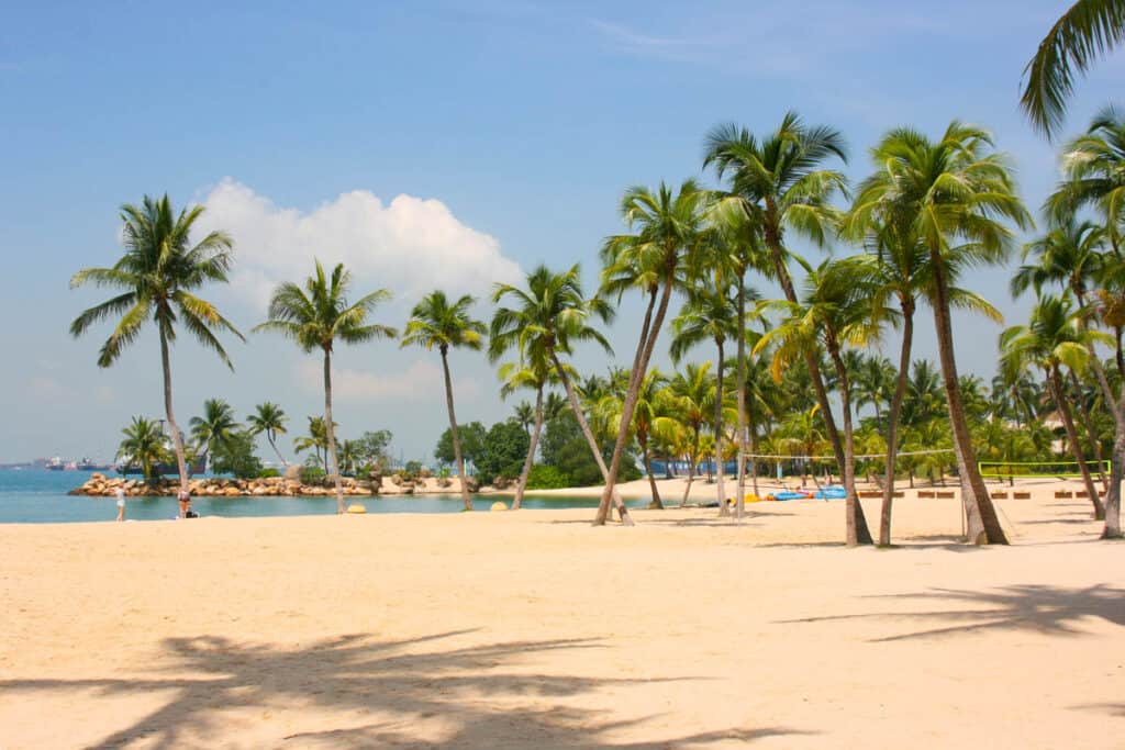 Siloso beach Singapore with palm trees. 
