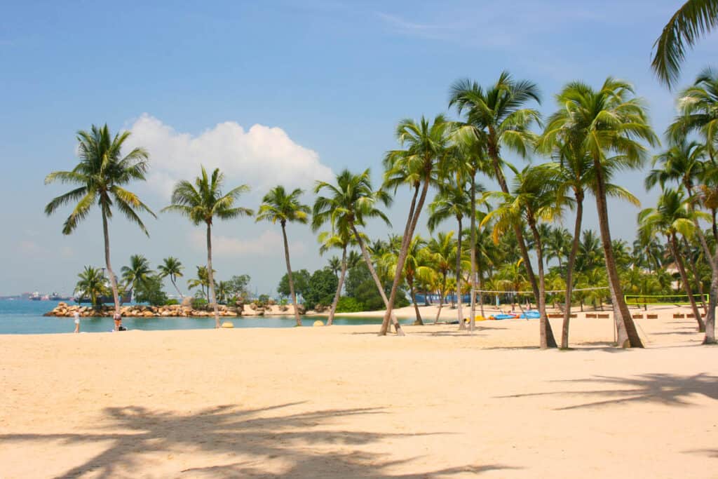 Sentosa Island Beach with palm trees.