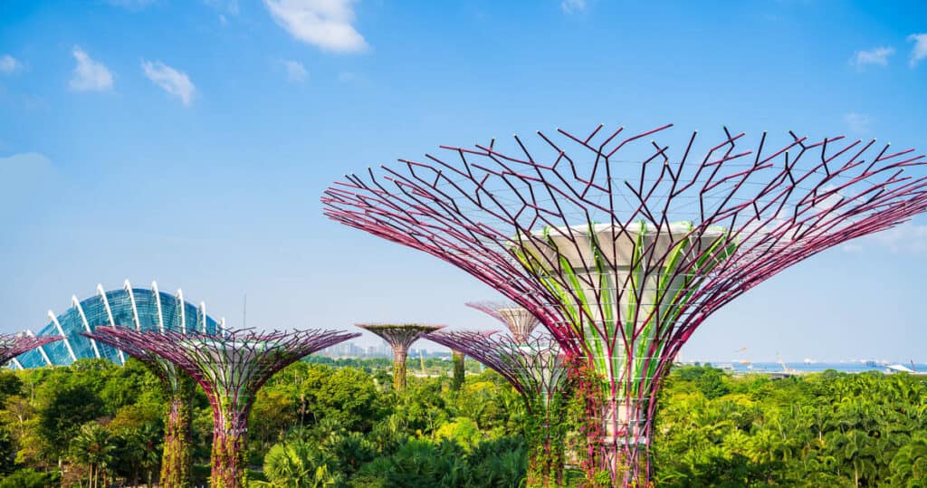 Supertrees at Gardens by the Bay with blue sky.