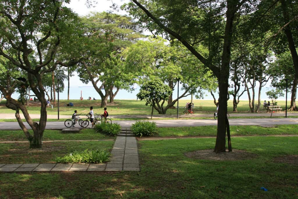 People riding bikes under the trees at East Coast Park Singapore.