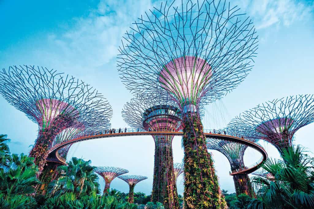 Super trees and skywalk at Gardens by the Bay Singapore.