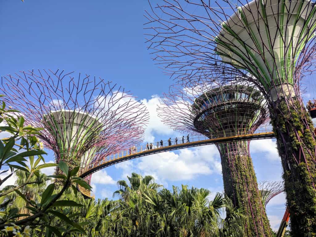 Gardens by the Bay Singapore. View of skywalk at the supertrees.