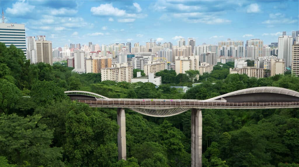 Henderson Waves bridge with skyline view in background.