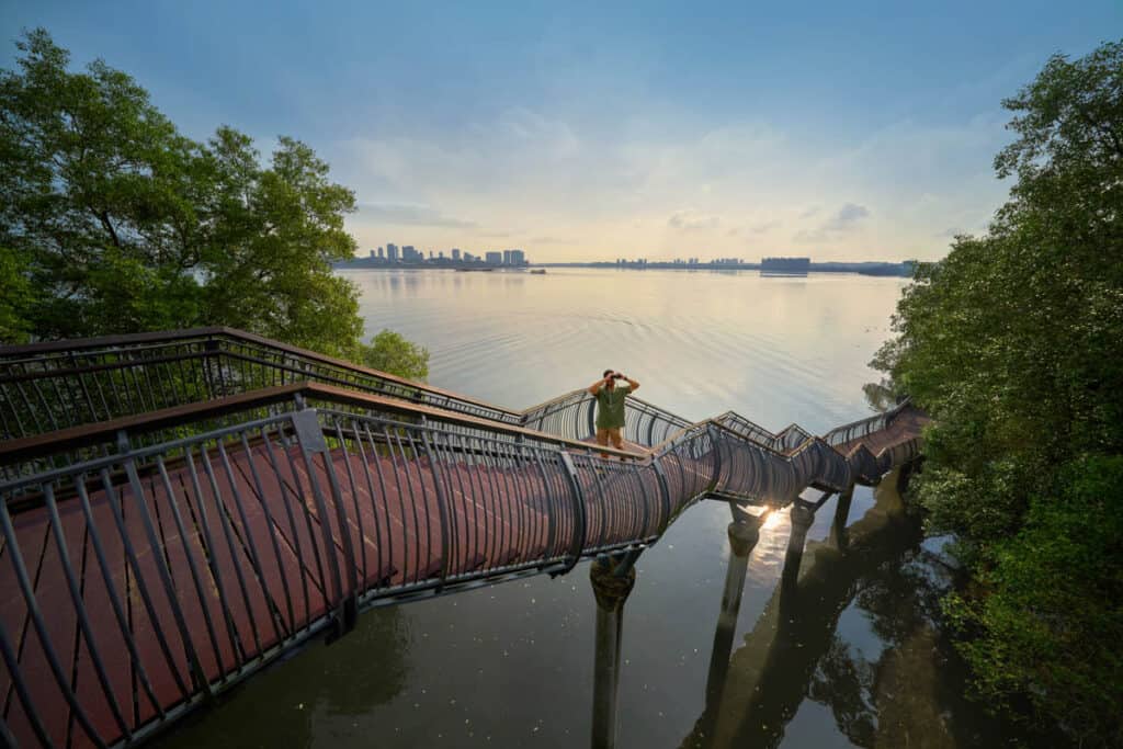 Person standing on walkway over water at Sungei Buloh Wetland Park.