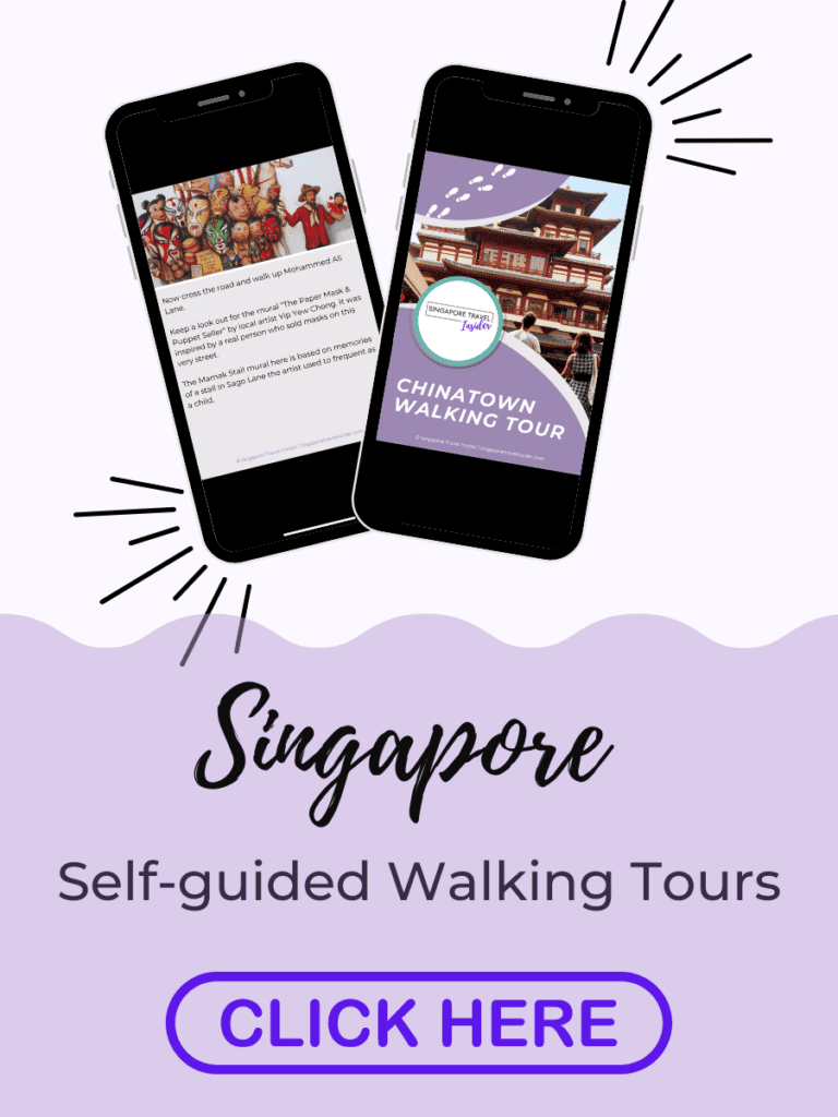 the heritage tour singapore