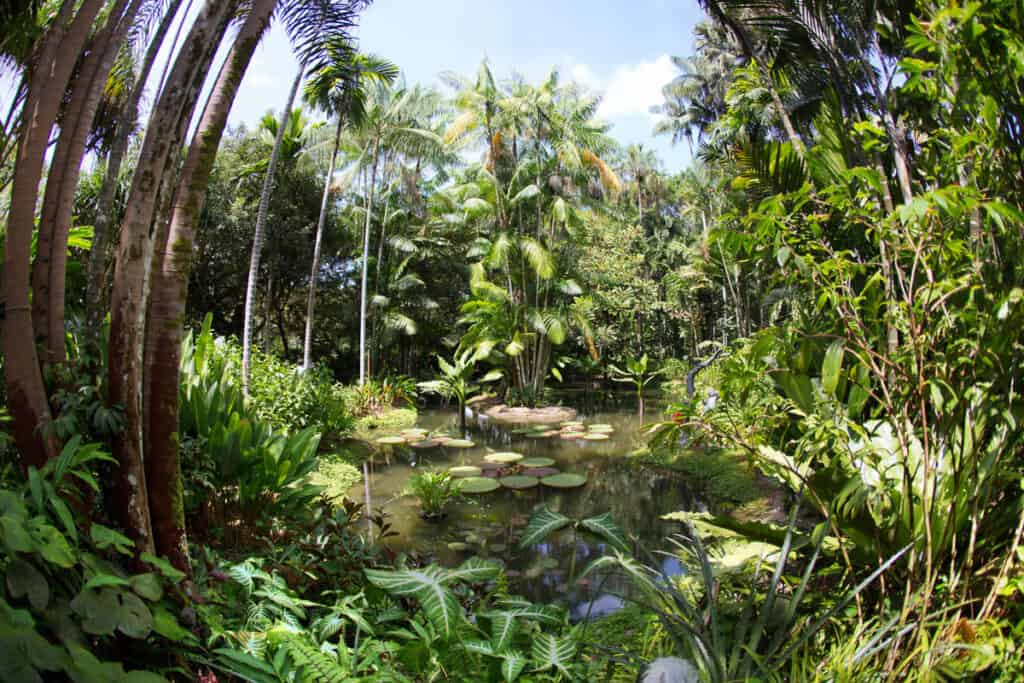 Botanic Gardens singapore.