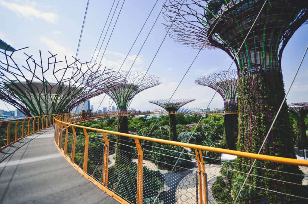 Supertrees Skywalk at Gardens by the Bay.