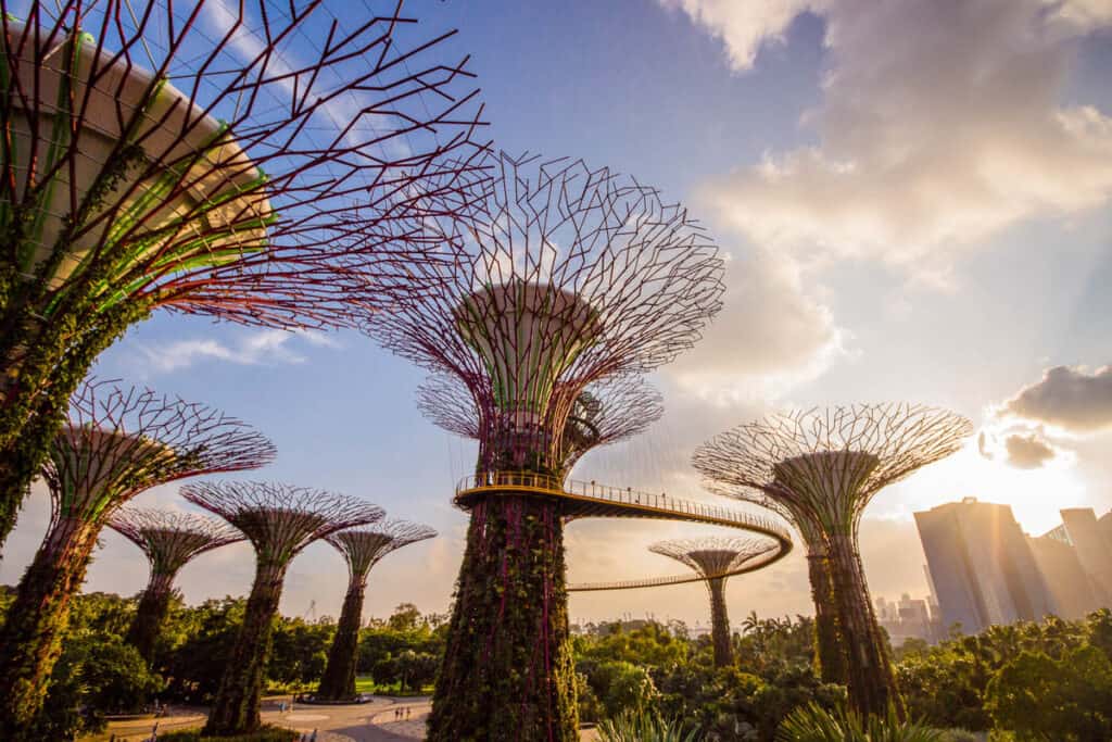 Supertrees at Gardens by the Bay Singapore. 