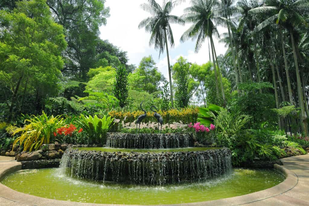 Waterfall at Singapore Botanic Gardens.