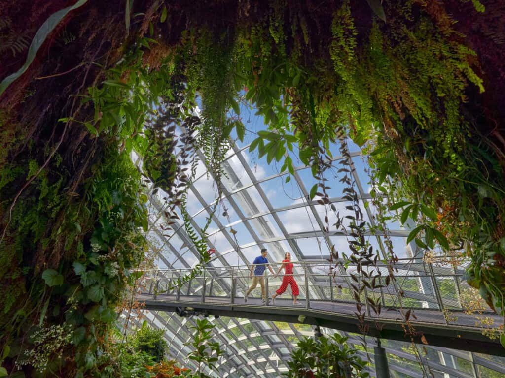 Couple walking inside Cloud Forest at Gardens by the Bay. 