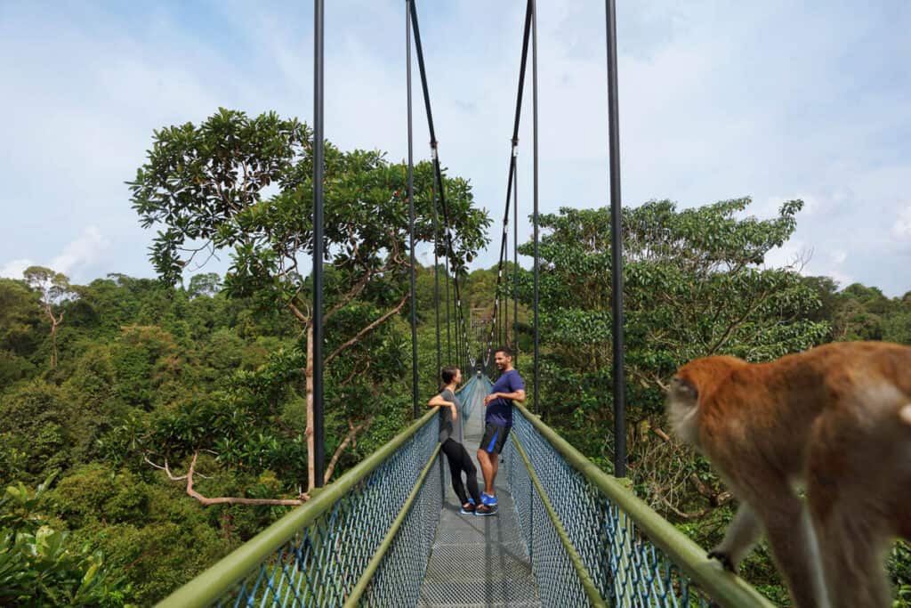 Couple standing on Treetop Walks suspension bridge at MacRitchie Reservoir. 