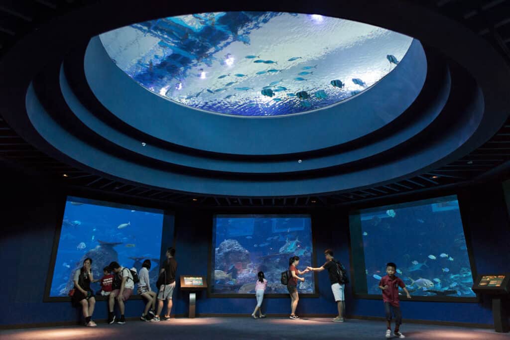 SEA Aquarium Singapore.