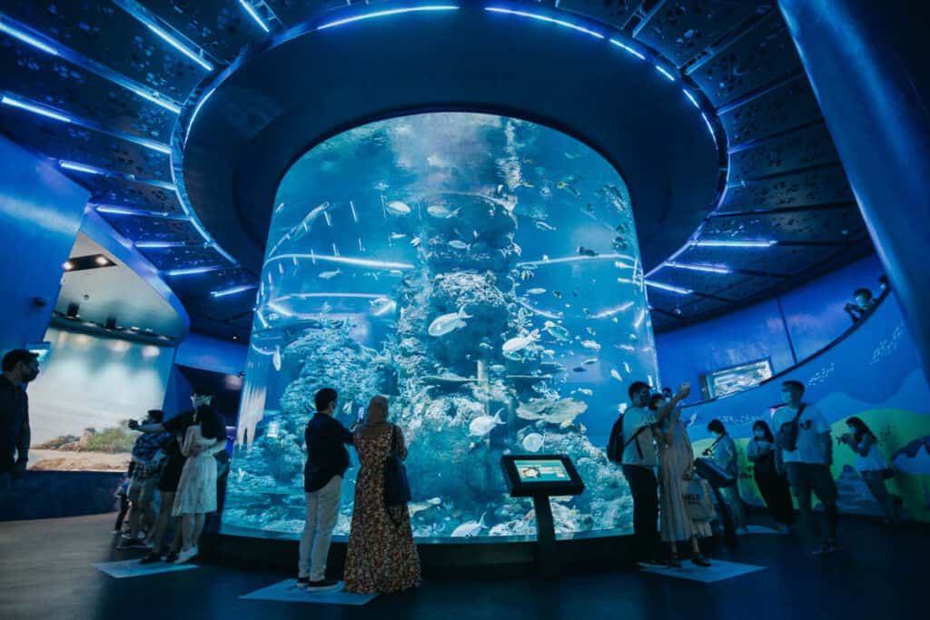 SEA Aquarium people looking at fish. 