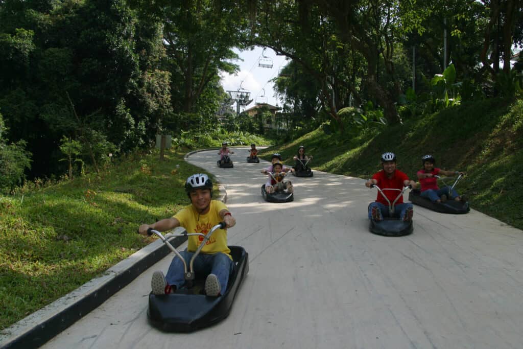 Kids riding Sentosa Luge.