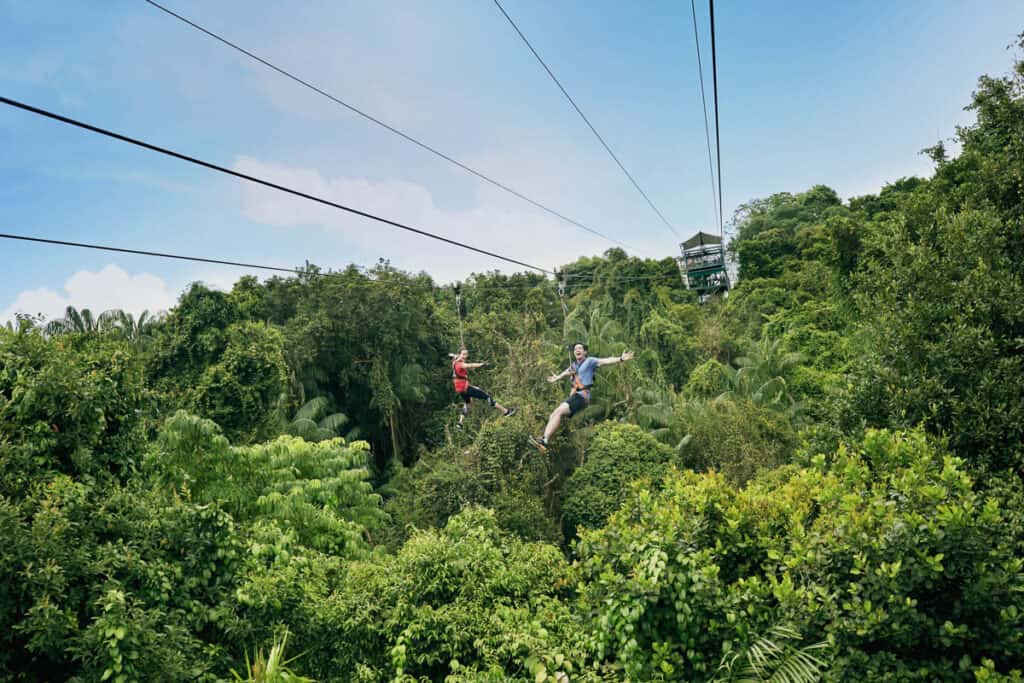 Couple riding the zipline together. 