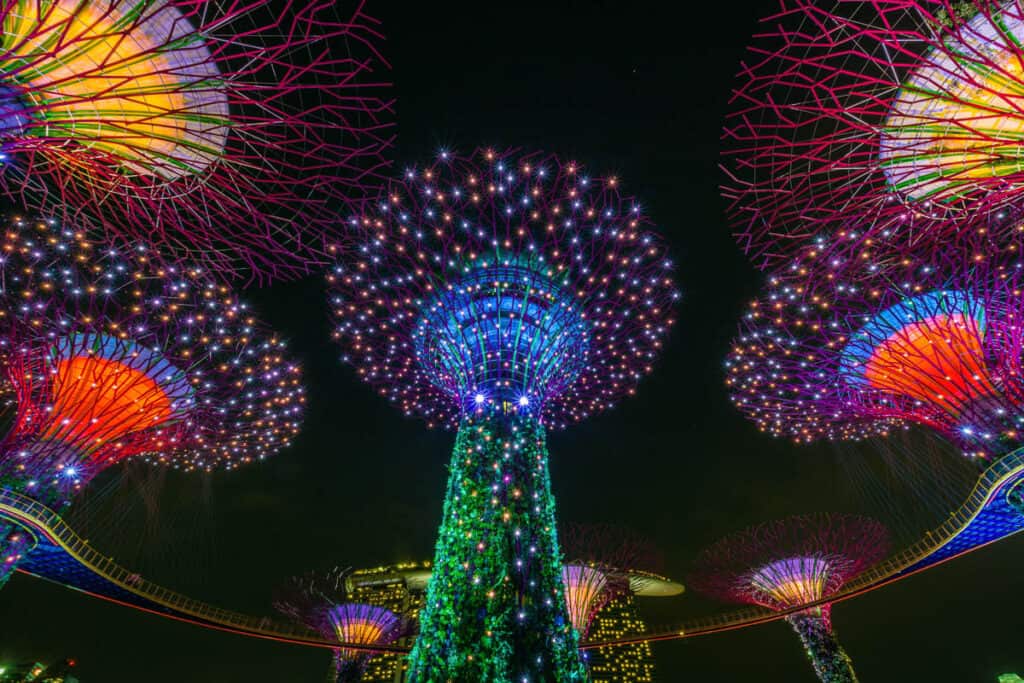 Light show at Gardens by the Bay.