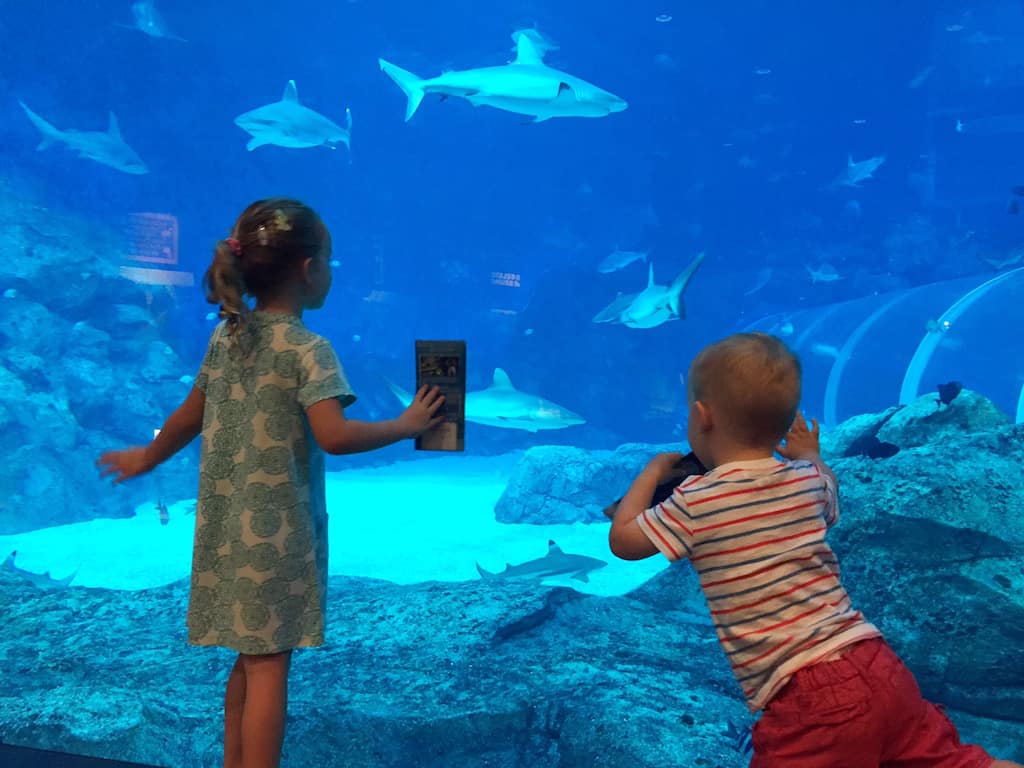Kids at SEA Aquarium Singapore.