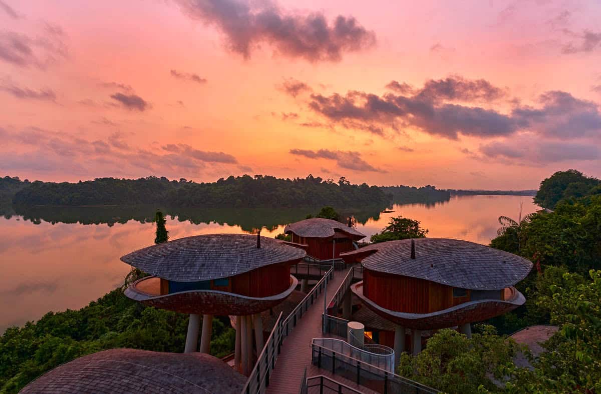 Mandai Rainforest Lodge Singapore.