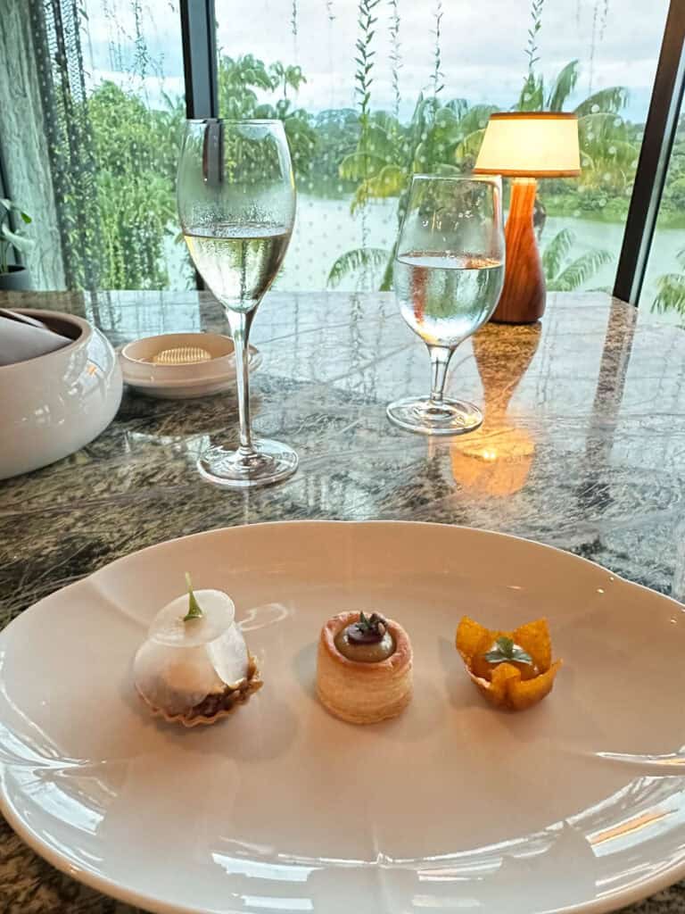 Dinner at Forage at Mandai Rainforest Resort by Banyan Tree.