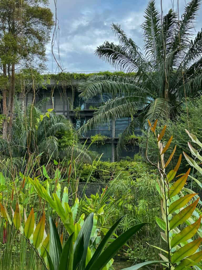 Mandai Rainforest Resort by Banyan Tree exterior.
