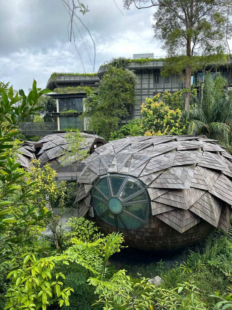 Spa pods inspired by the pangolin. 