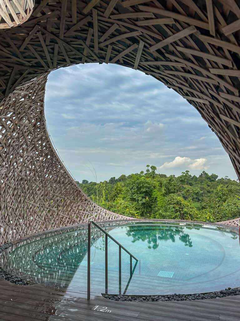 Birds nest inspired swimming pool.