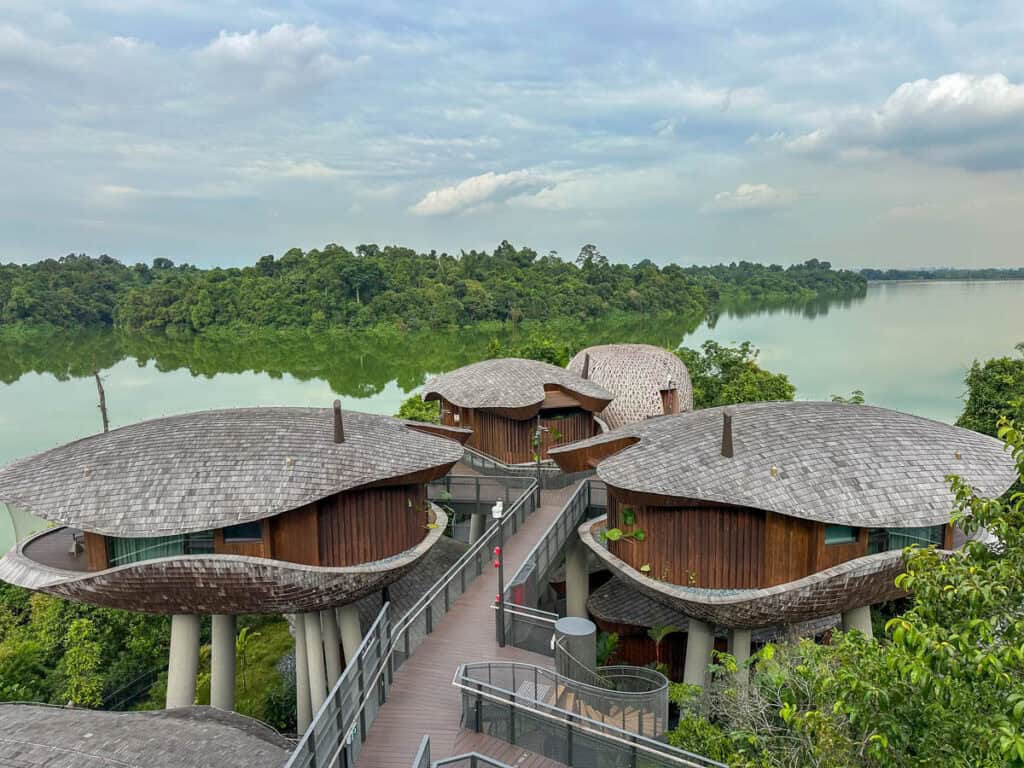 Mandai Rainforest Resort by Banyan Tree treehouses.