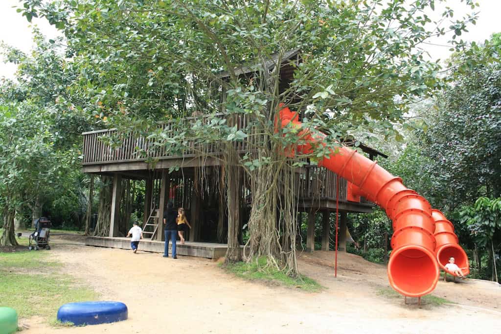 Jacob Ballas Children's Garden Singapore Botanic Gardens.