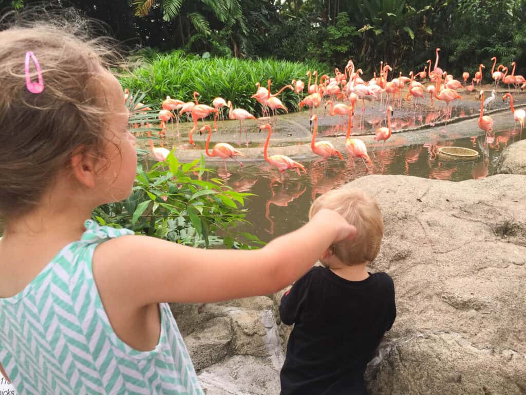Kids at Bird Paradise in Singapore. 