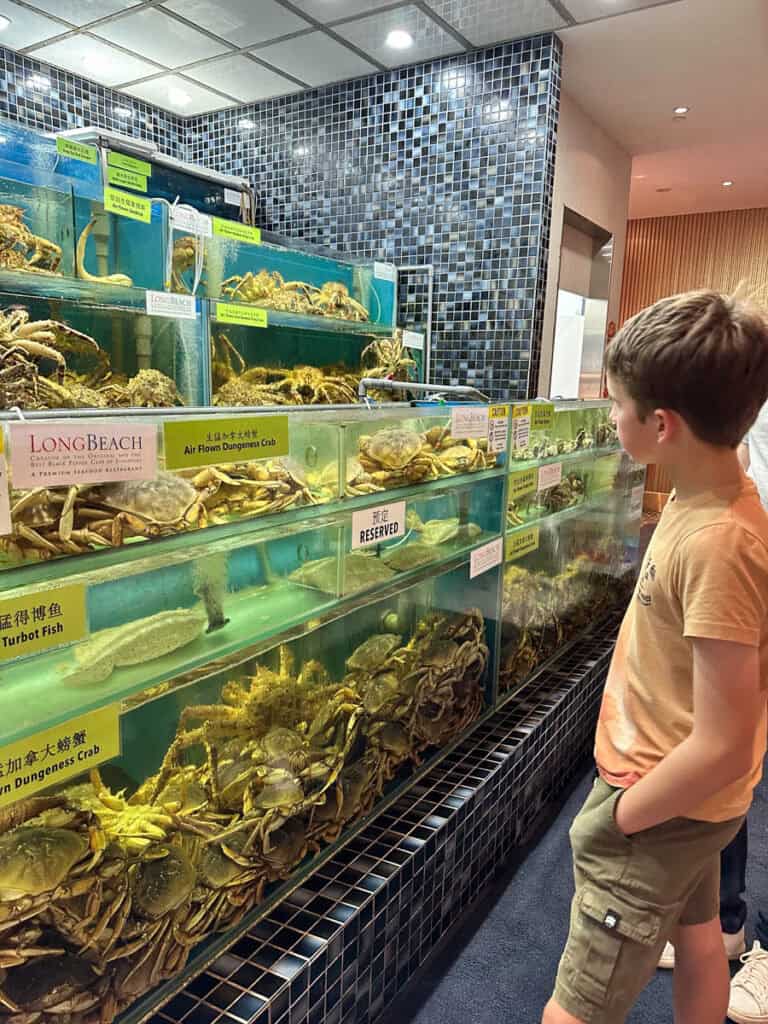 Boy looking at live seafood tanks with crabs in a seafood restaurant in Singapore.