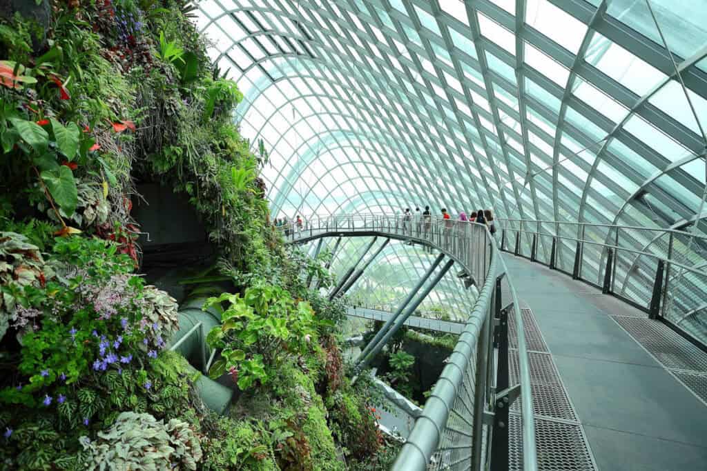 Gardens by the Bay Singapore inside the Cloud Forest. 