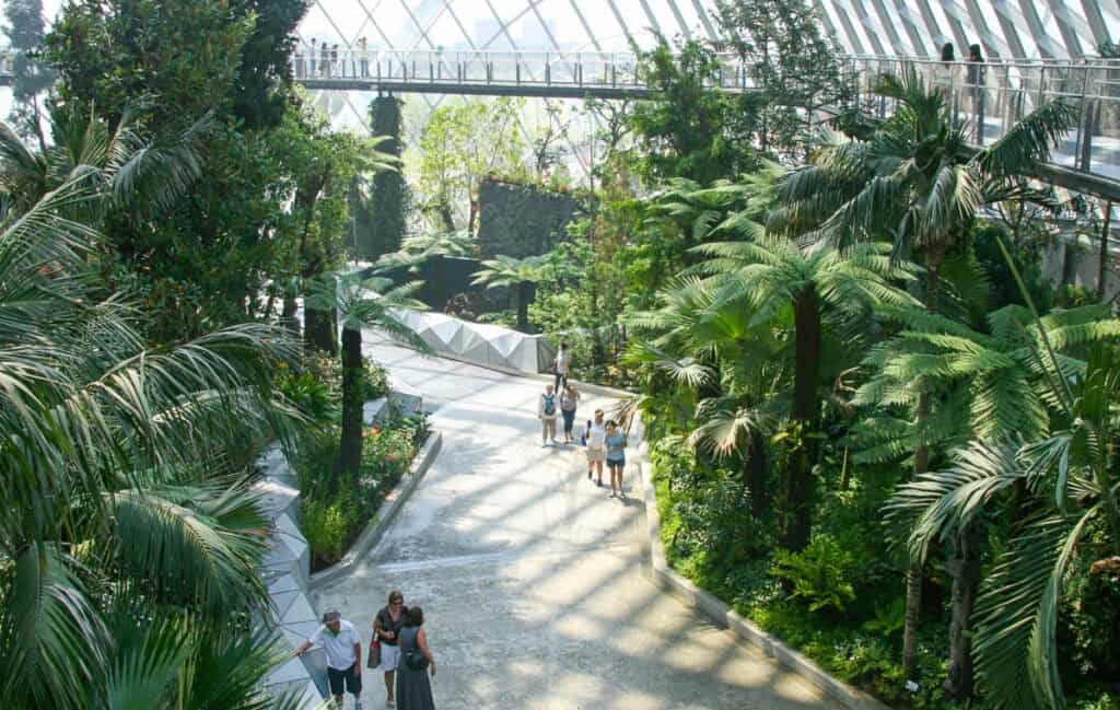 Inside the conservatory at Gardens by the Bay Singapore.