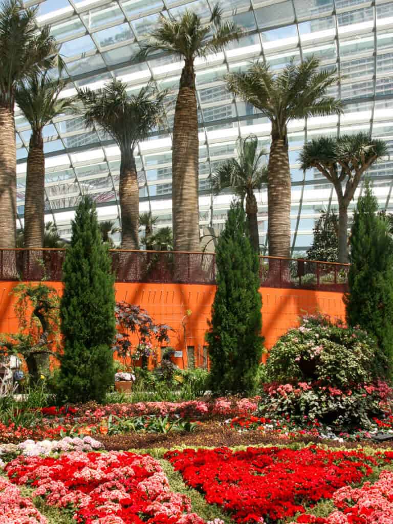Gardens by the Bay Singapore Flower Dome. 