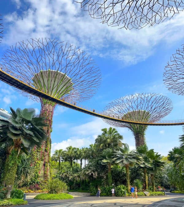 Insider Guide To Gardens By The Bay Singapore insider-guide-to-gardens-by-the-bay-singapore