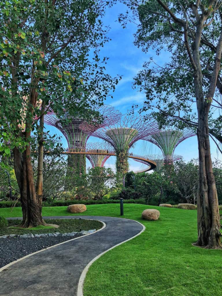 pathway at Gardens by the Bay Singapore.