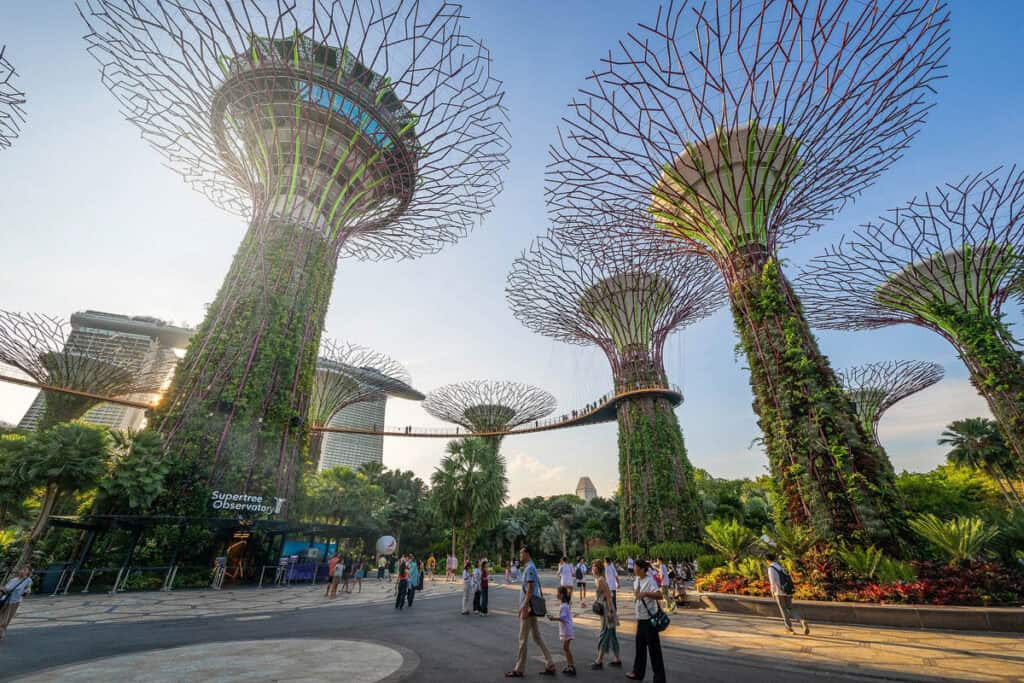 Gardens by the Bay Singapore supertrees. 
