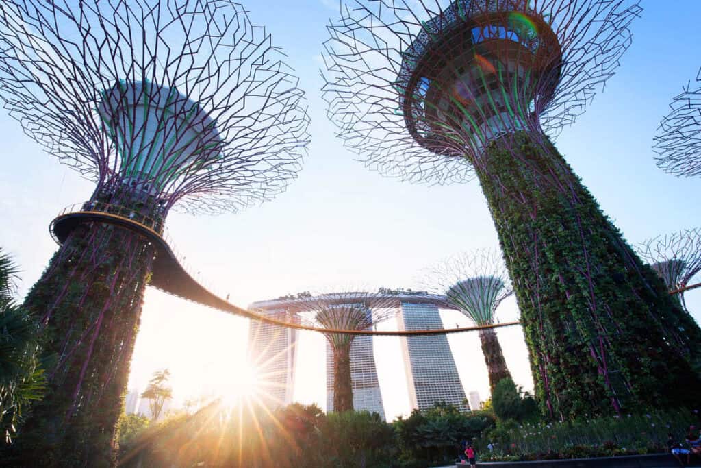 Supertree grove at Gardens by the Bay Singapore.