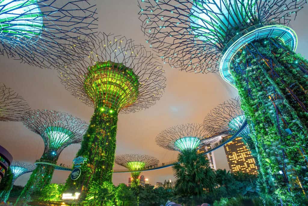 Gardens by the Bay Singapore supertree observatory. 