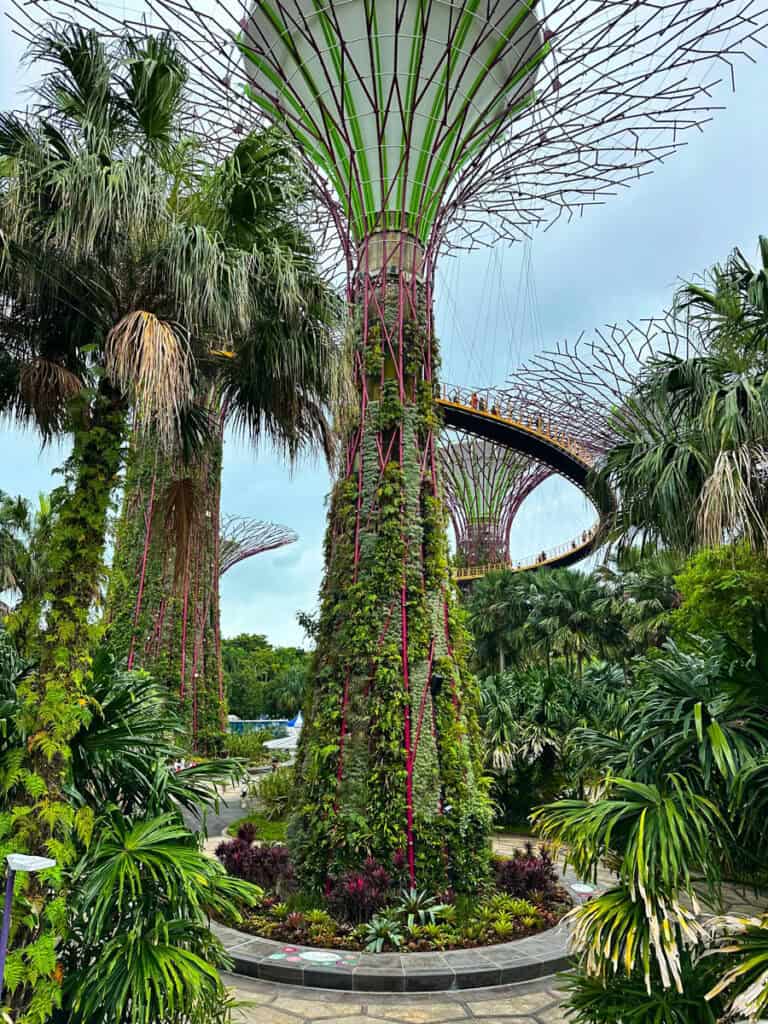 Gardens by the Bay Singapore Supertree Grove. 