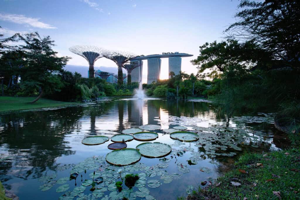 Lake at Gardens by the Bay Singapore.
