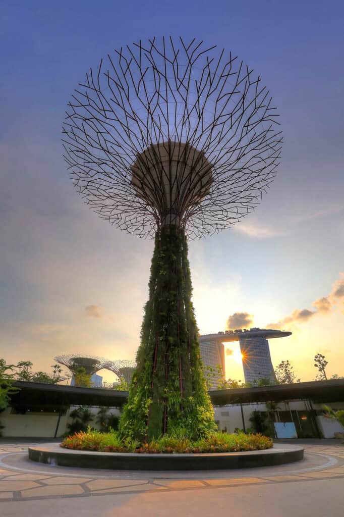 Gardens by the Bay at sunset.