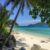 The Best Beach Escapes from Singapore (No Flights Required)
