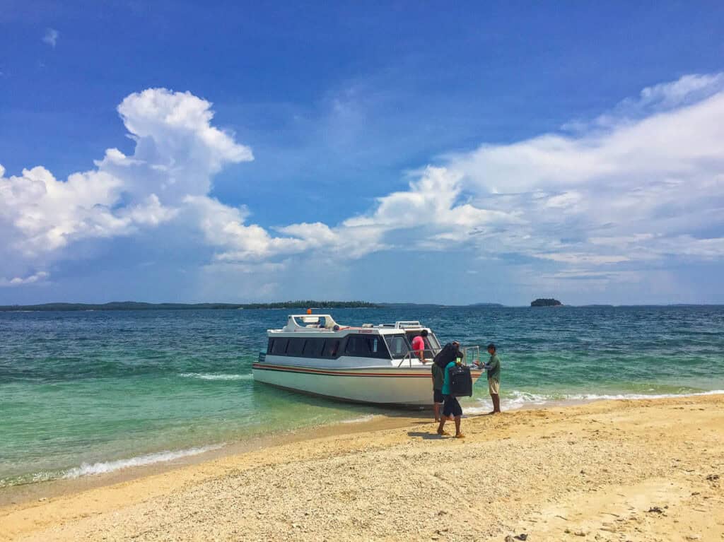 Boat arriving on a beach. 